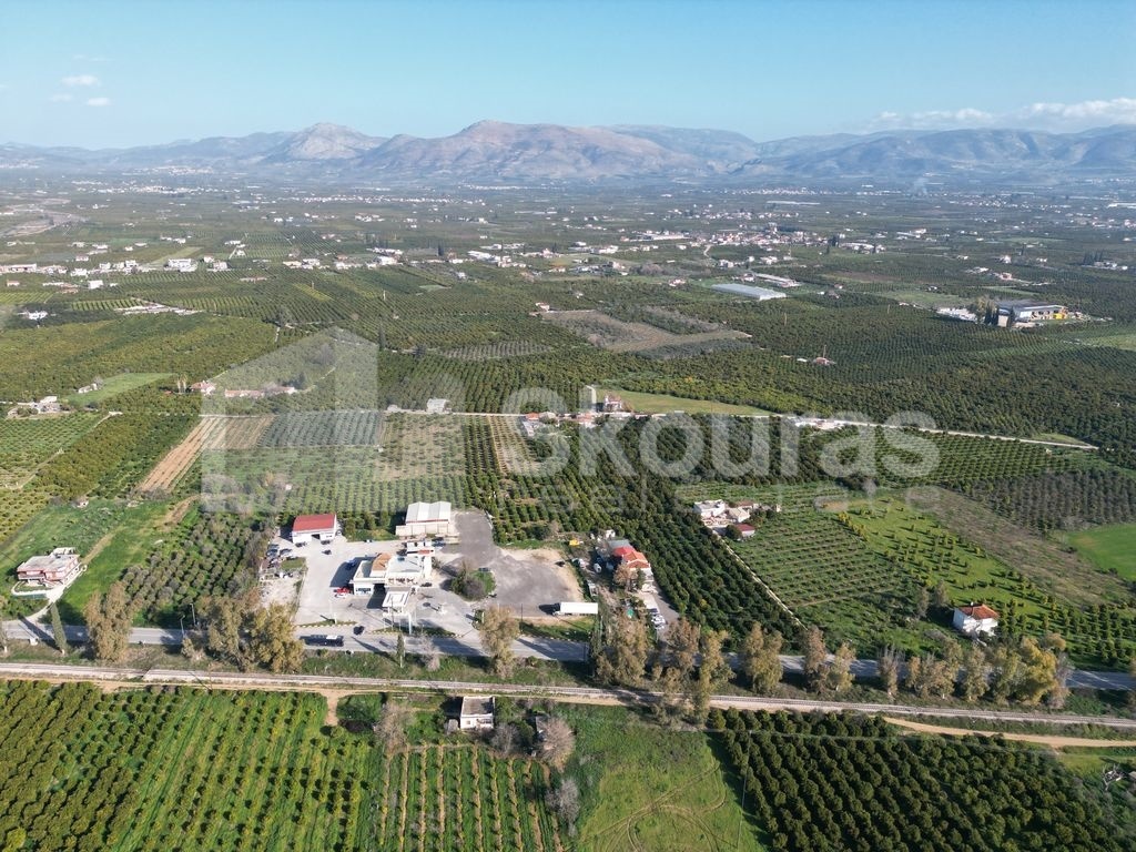 Gallery image 20