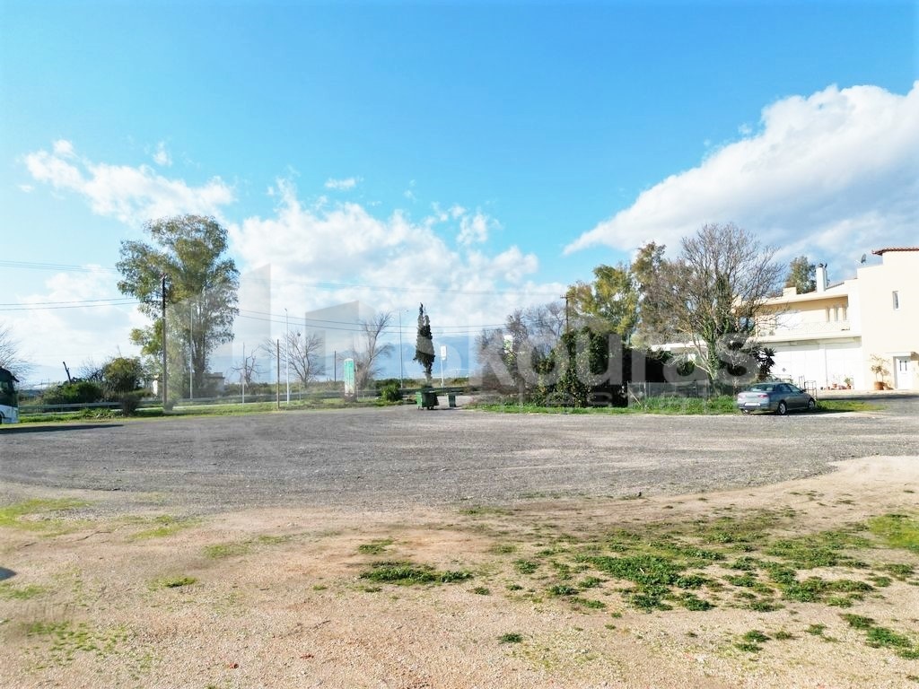 Gallery image 9