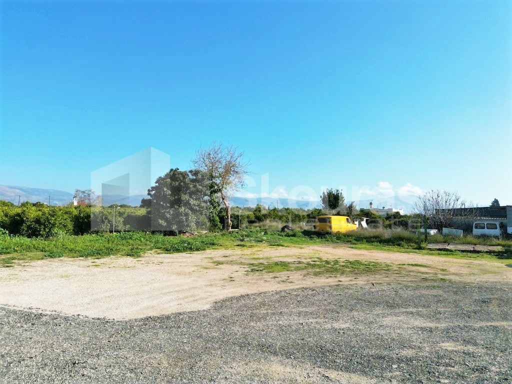 Gallery image 17