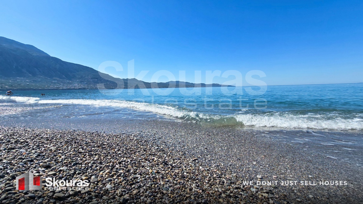 Gallery image 16