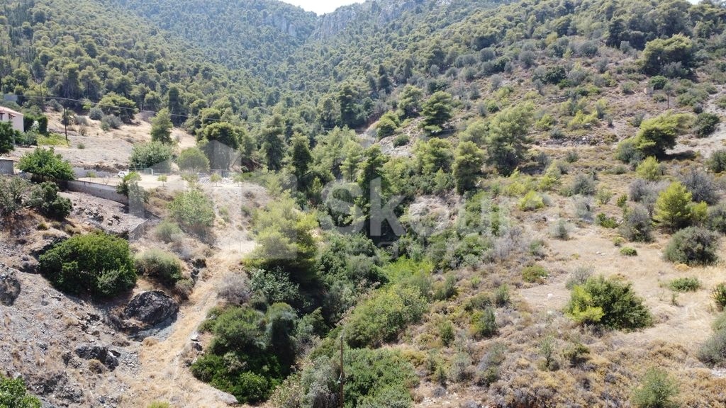 Gallery image 15