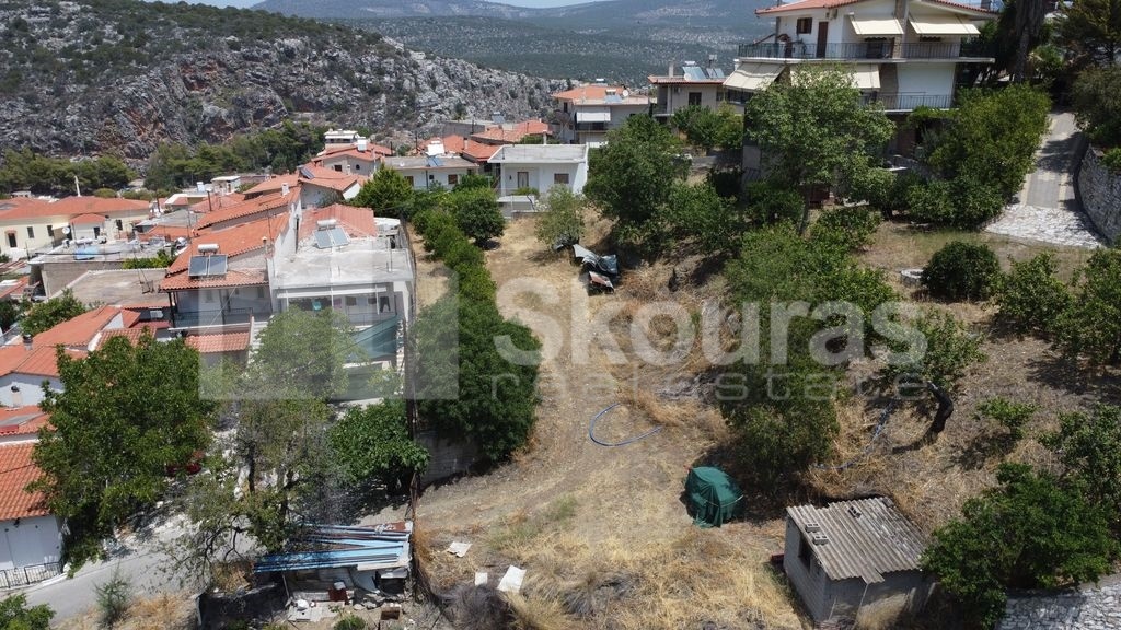 Gallery image 13