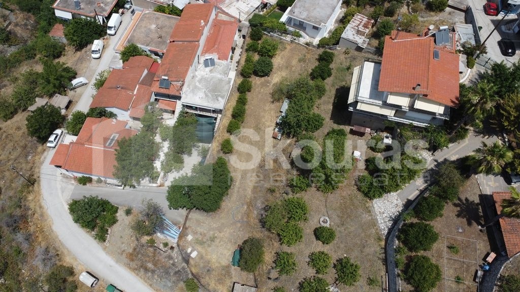 Gallery image 17