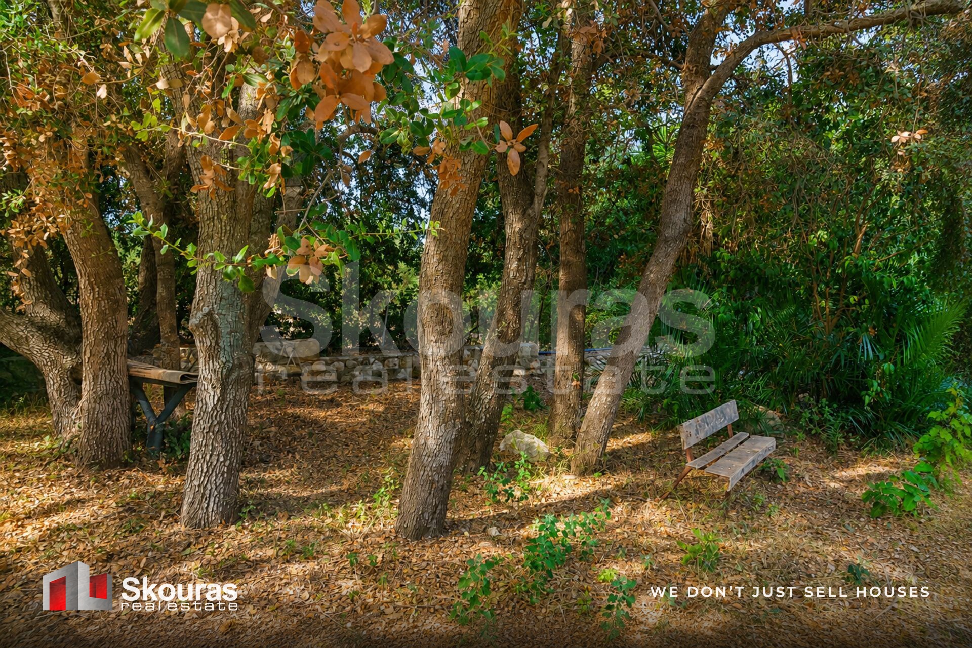 Gallery image 32