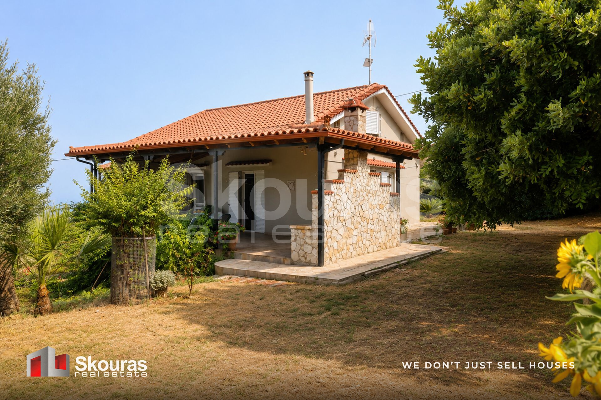 Gallery image 33