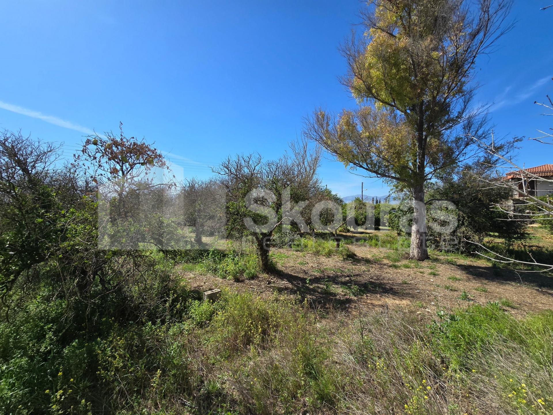 Gallery image 20
