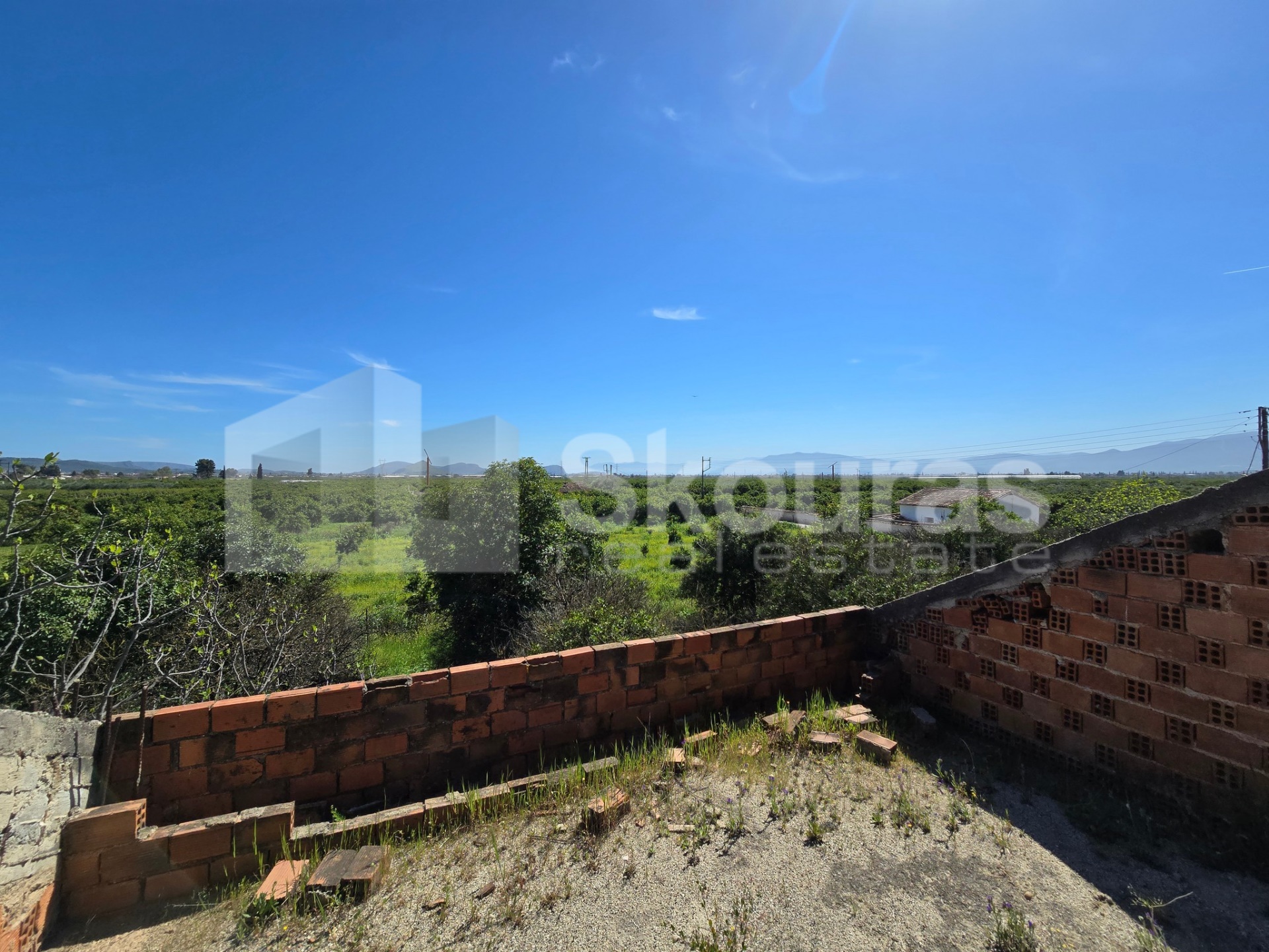 Gallery image 9