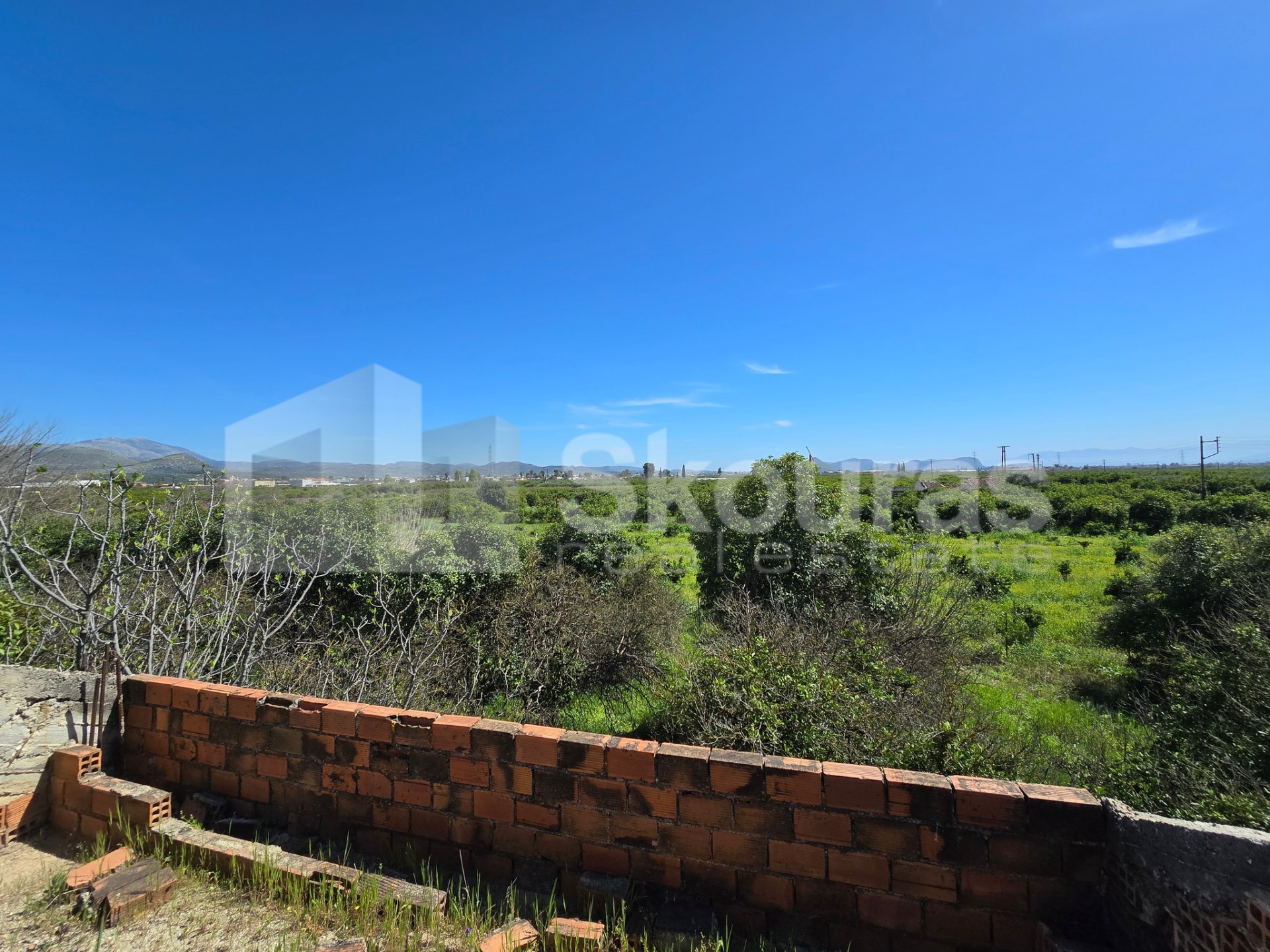 Gallery image 10