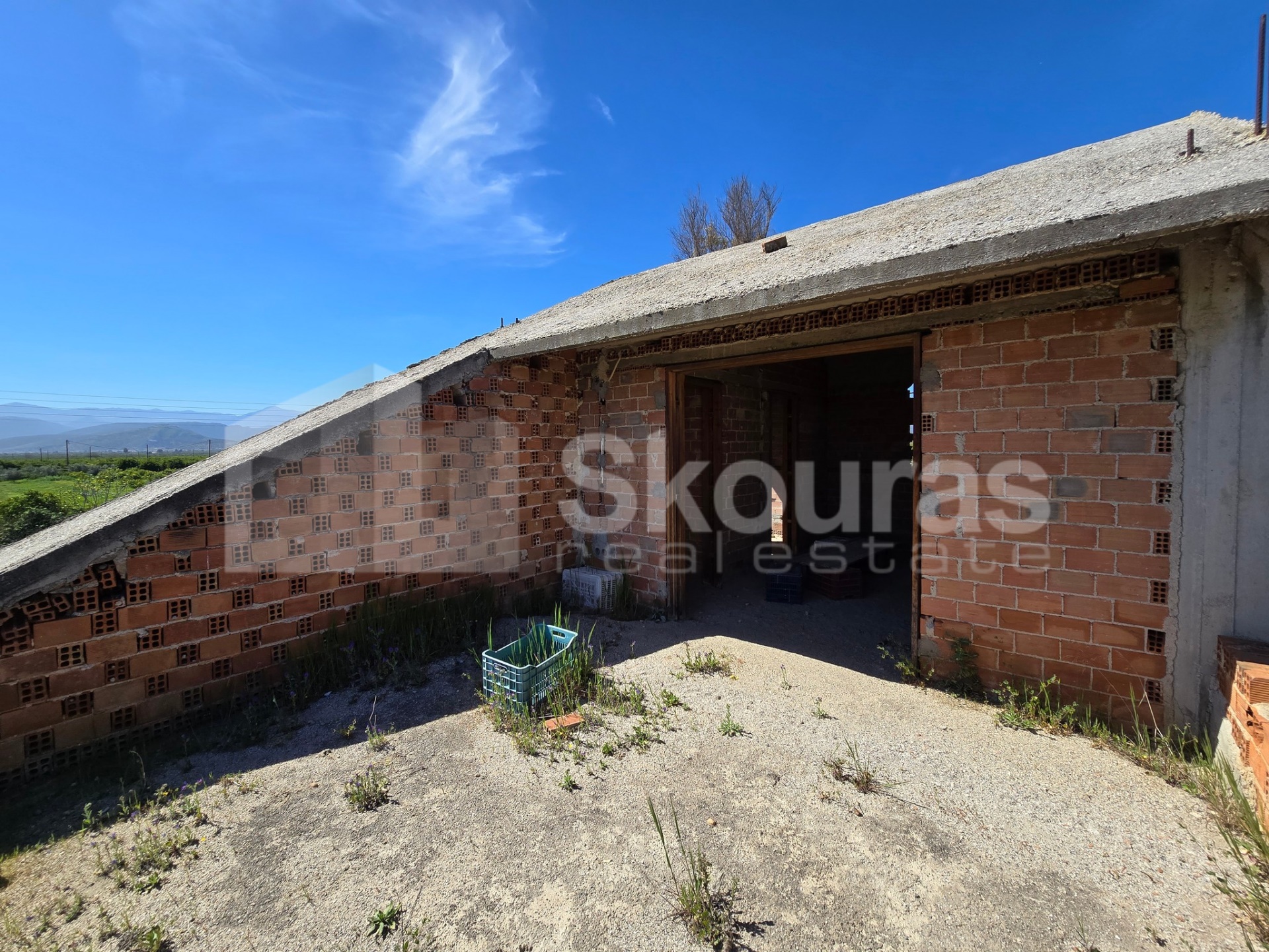Gallery image 8