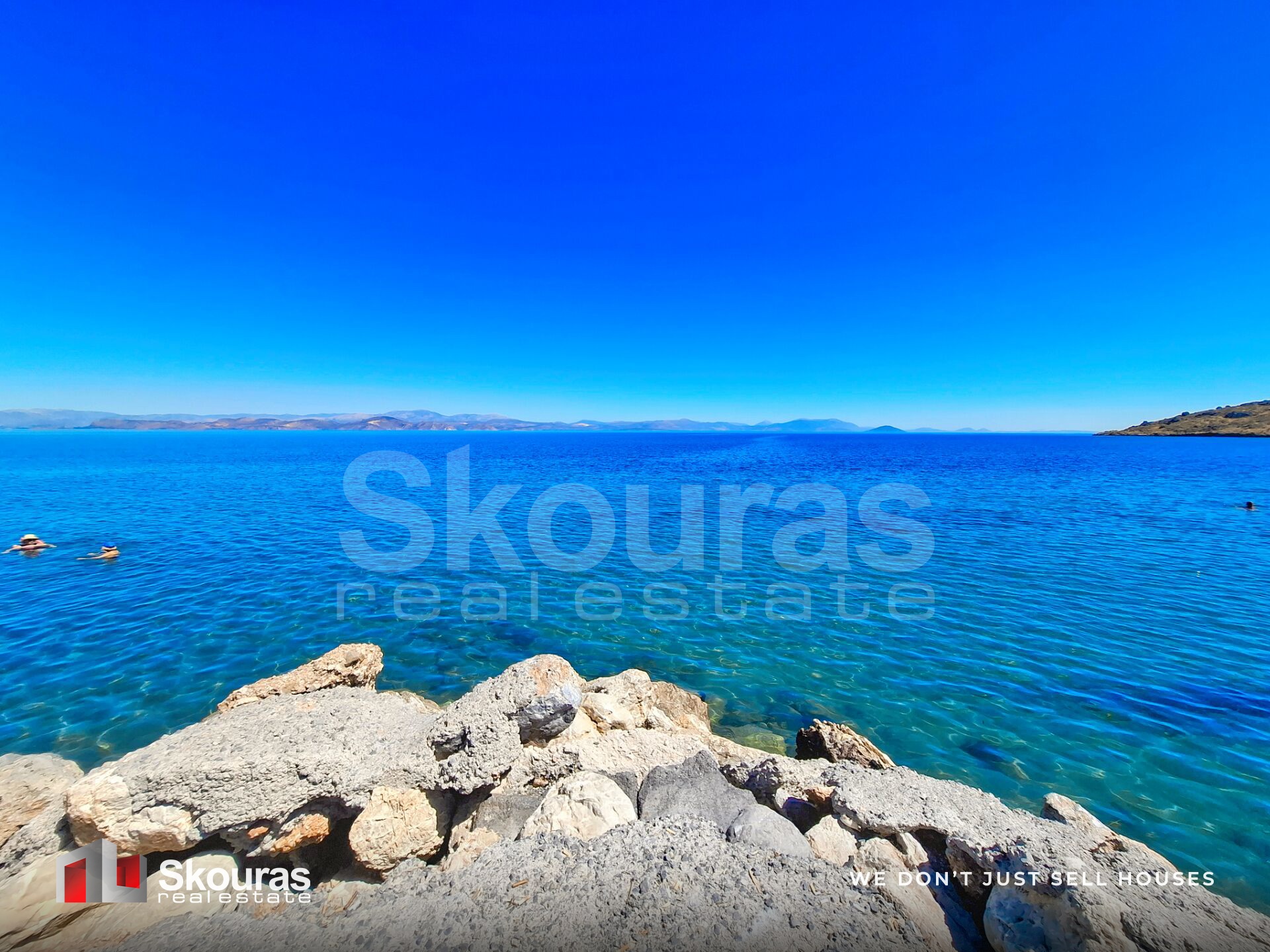 Gallery image 13