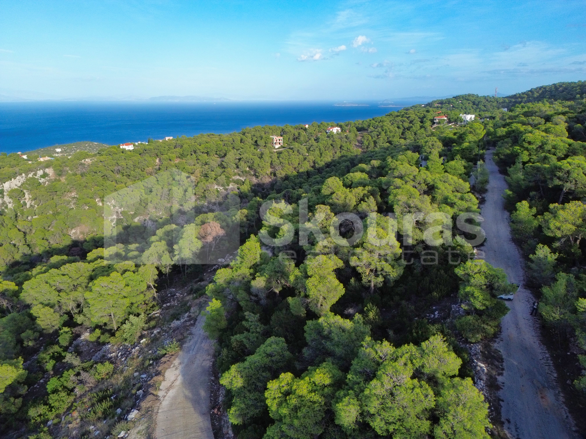Gallery image 15