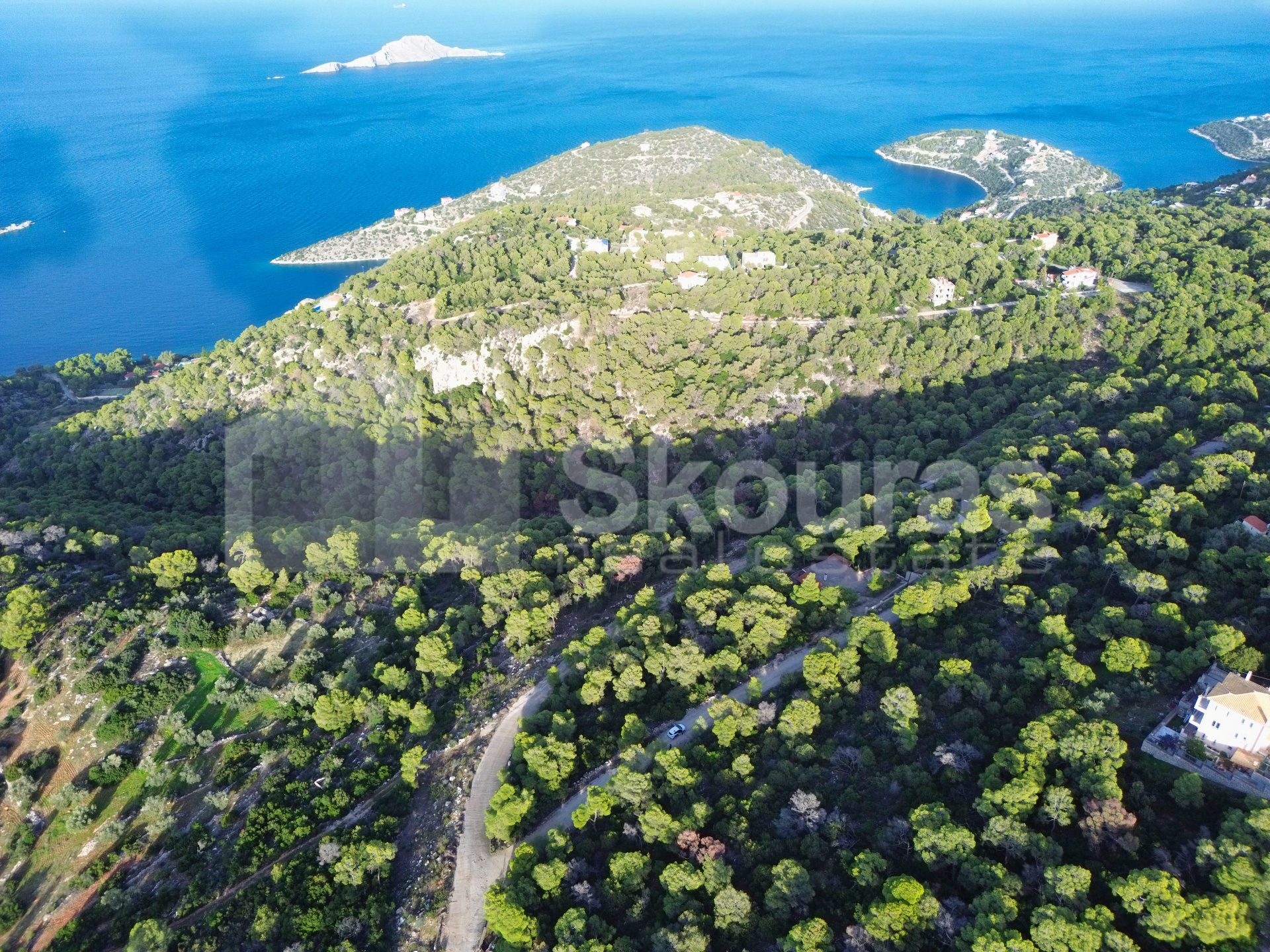 Gallery image 10