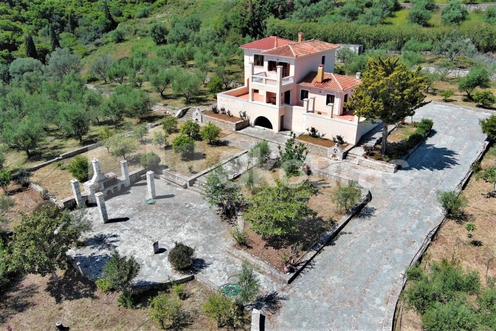 Gallery image 6