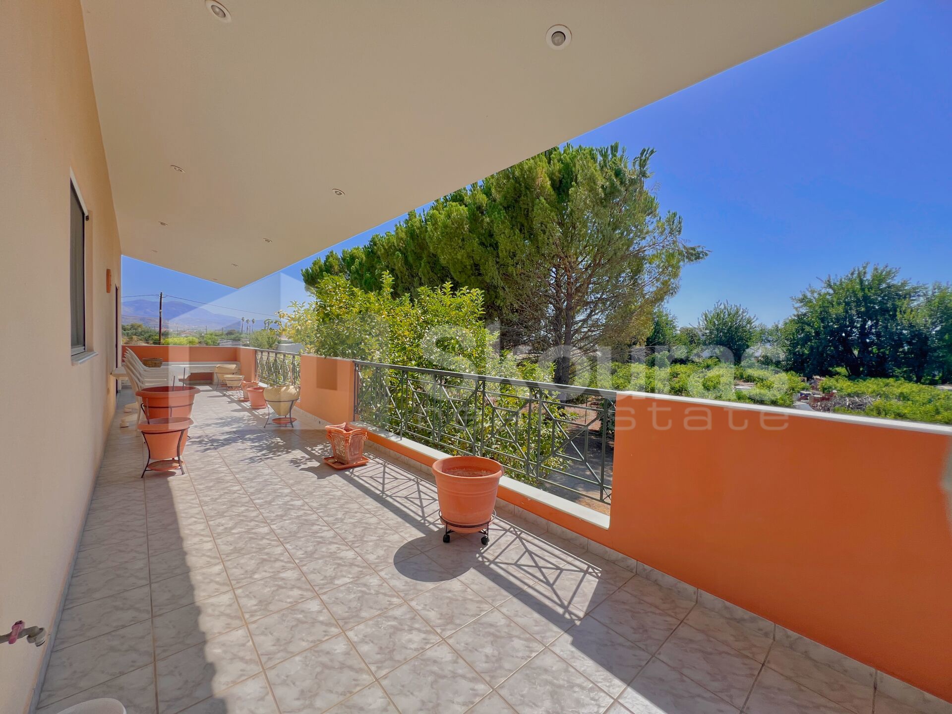 Gallery image 11