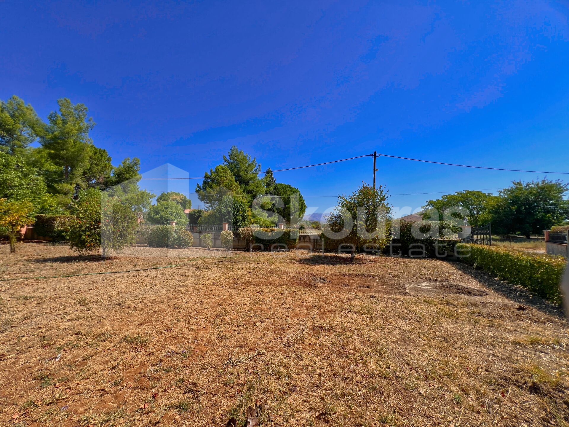 Gallery image 23