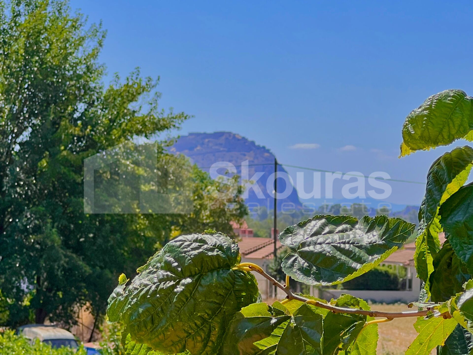 Gallery image 13