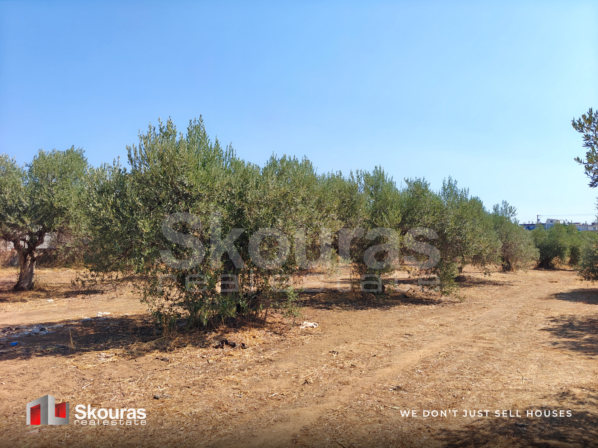 Gallery image 22