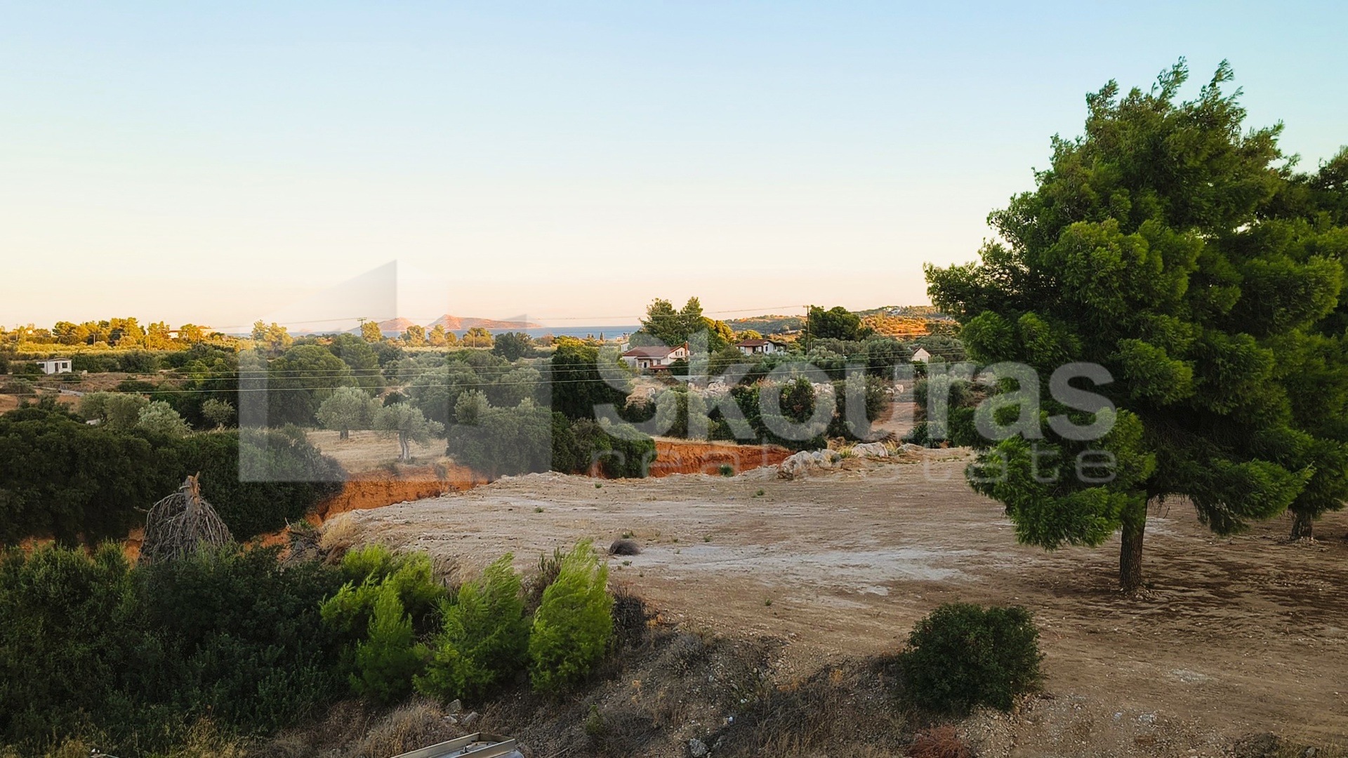 Gallery image 13