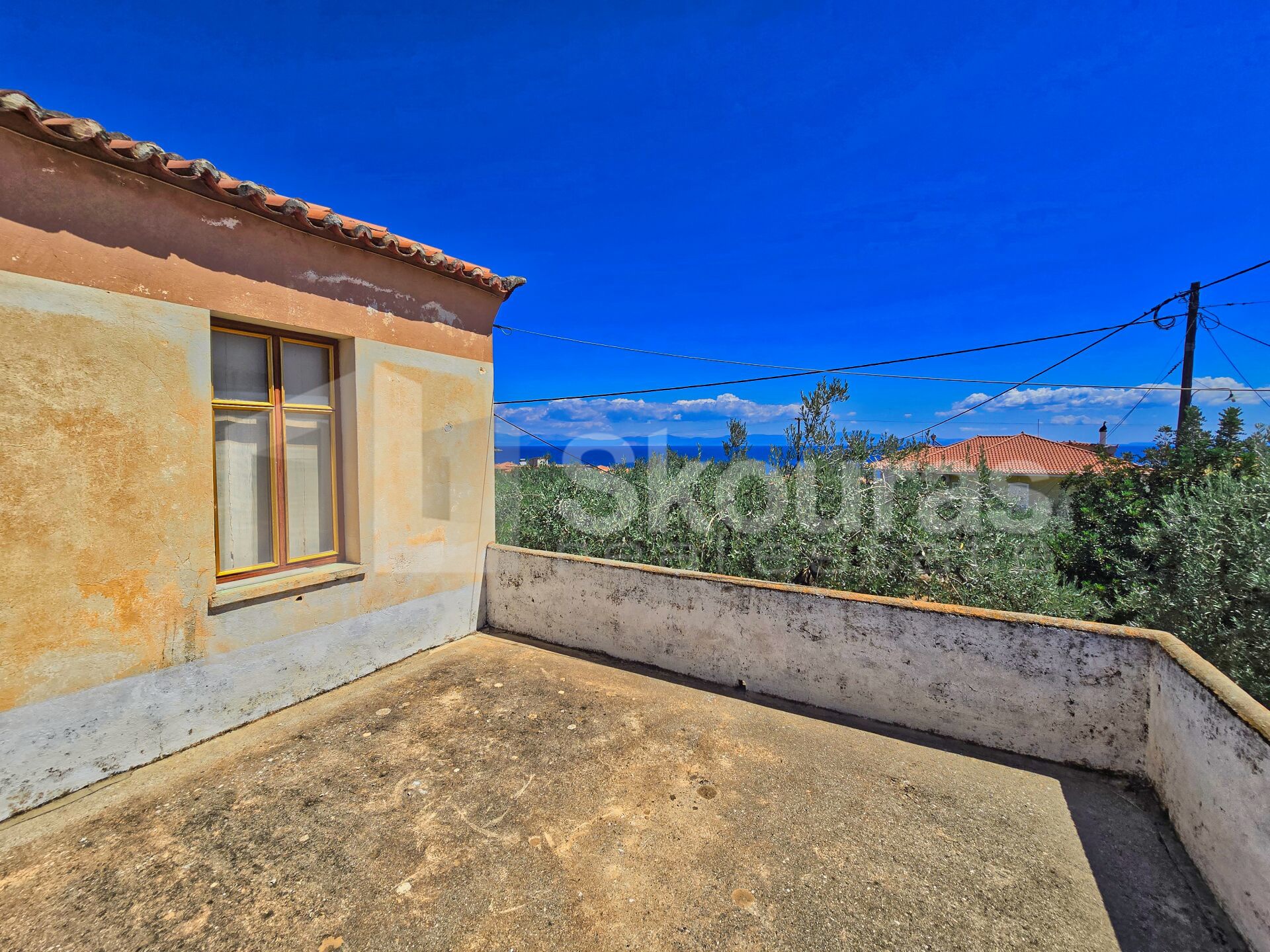 Gallery image 7