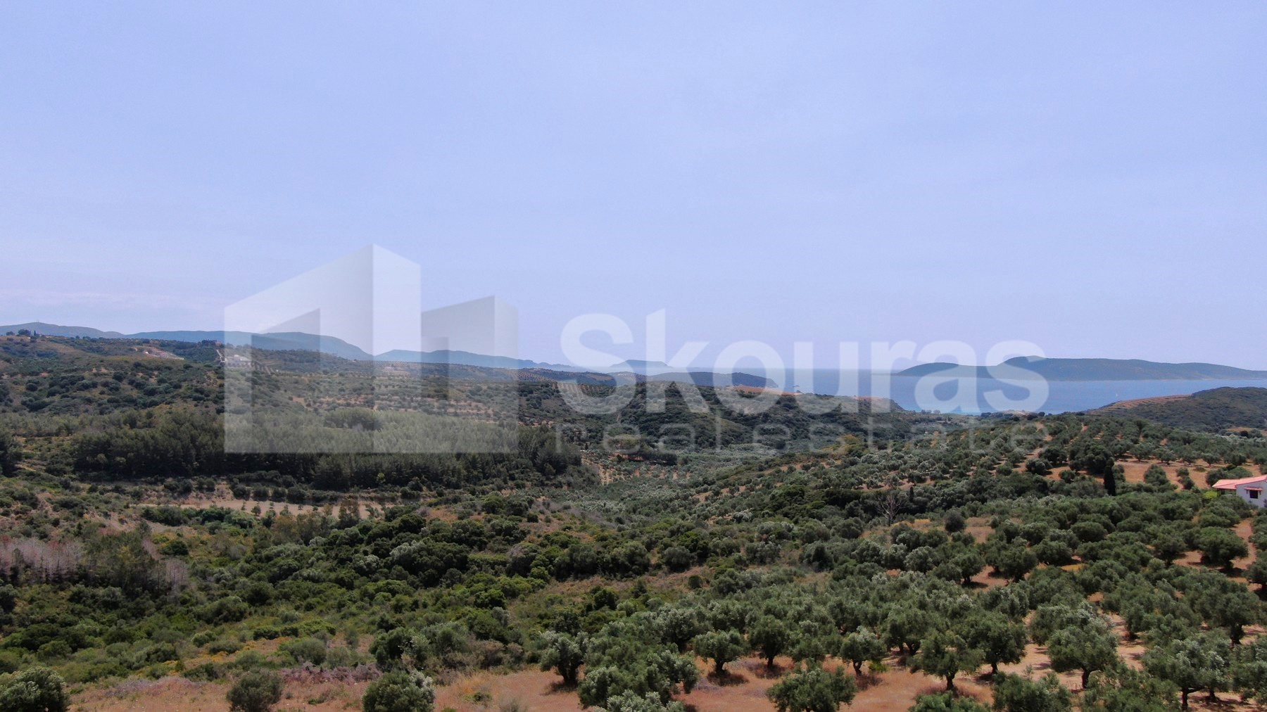 Gallery image 15