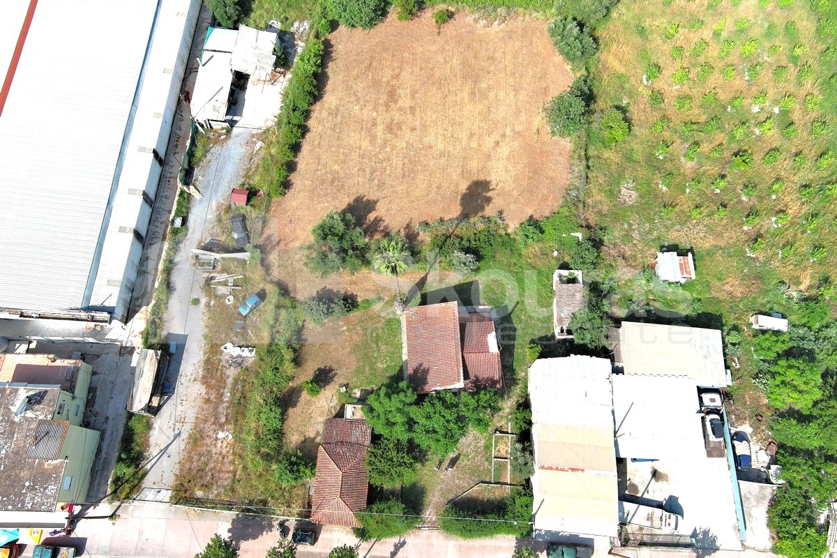 Gallery image 6