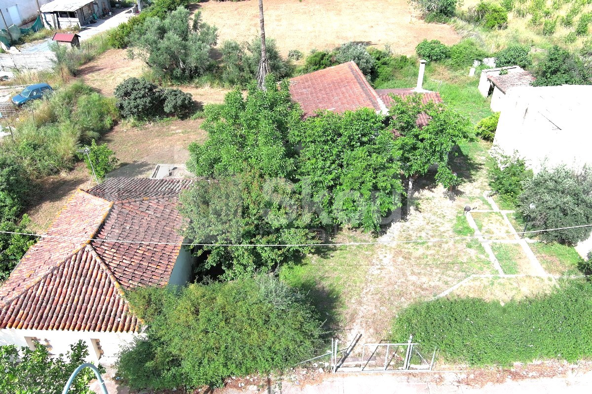 Gallery image 28