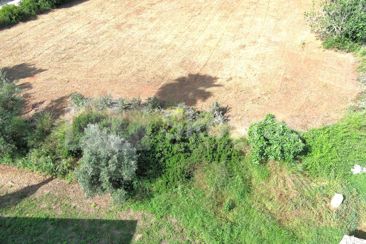 Gallery image 17