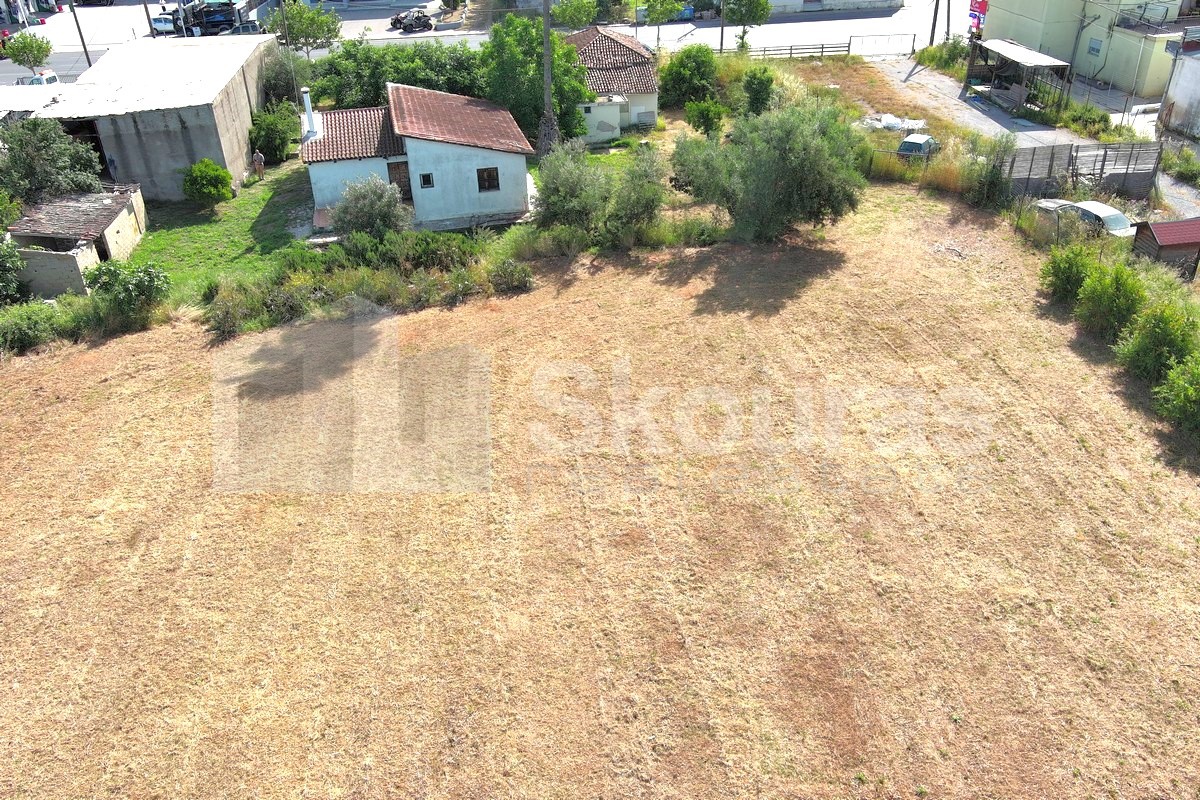 Gallery image 21