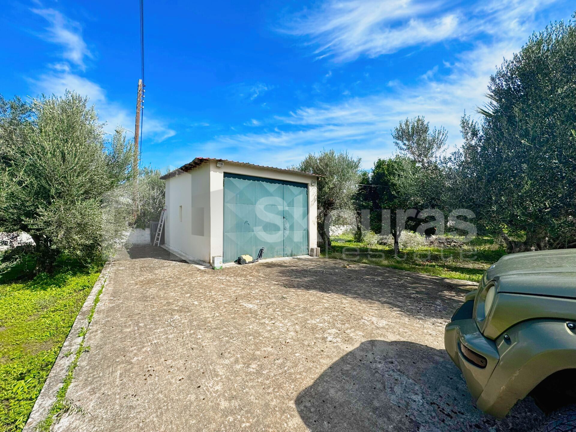 Gallery image 12