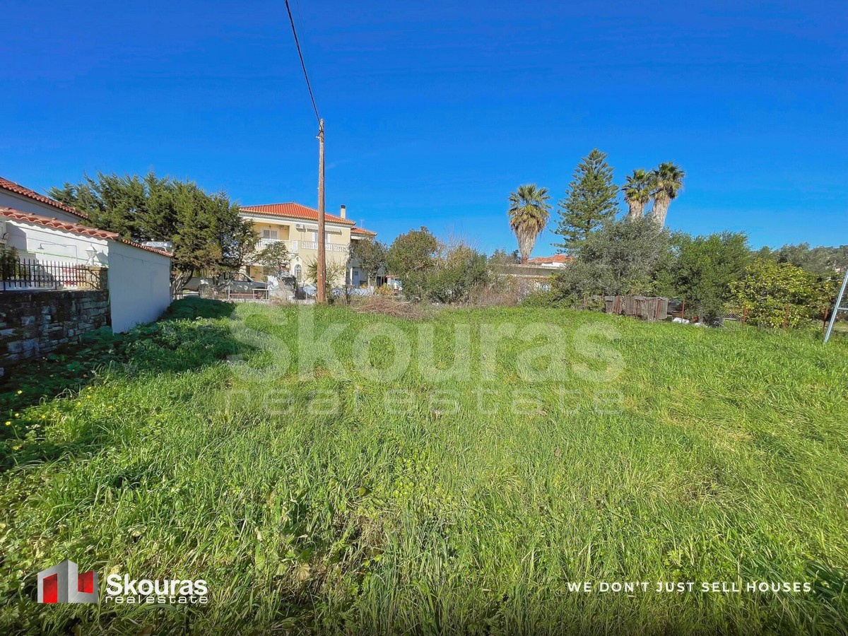 Gallery image 24
