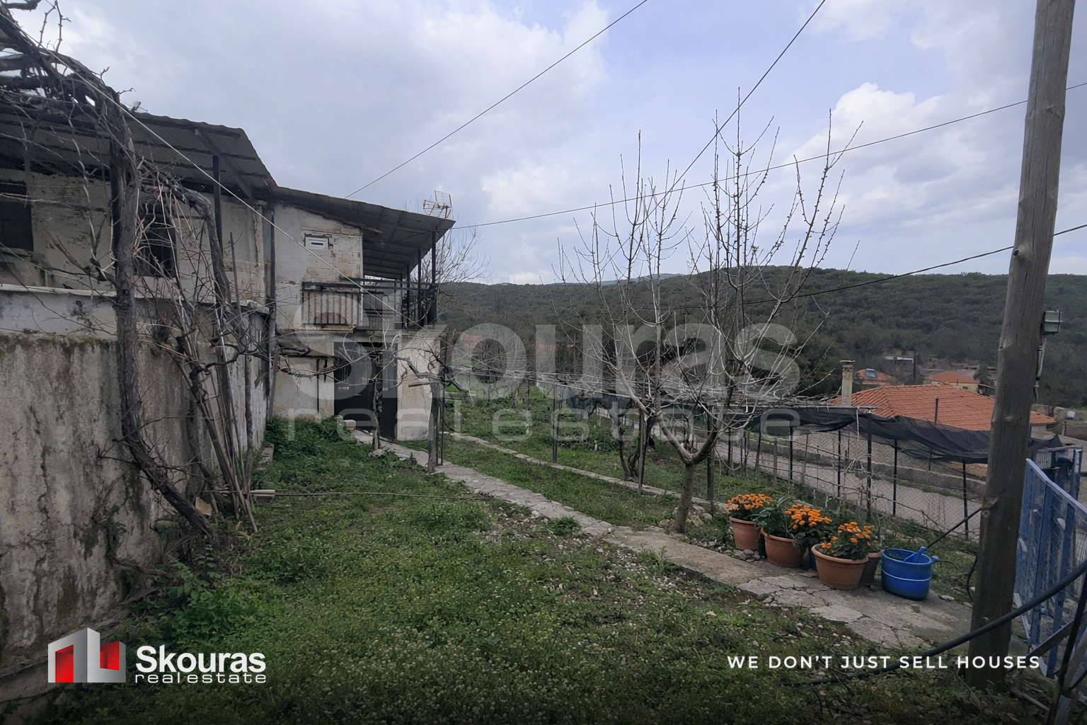 Gallery image 11