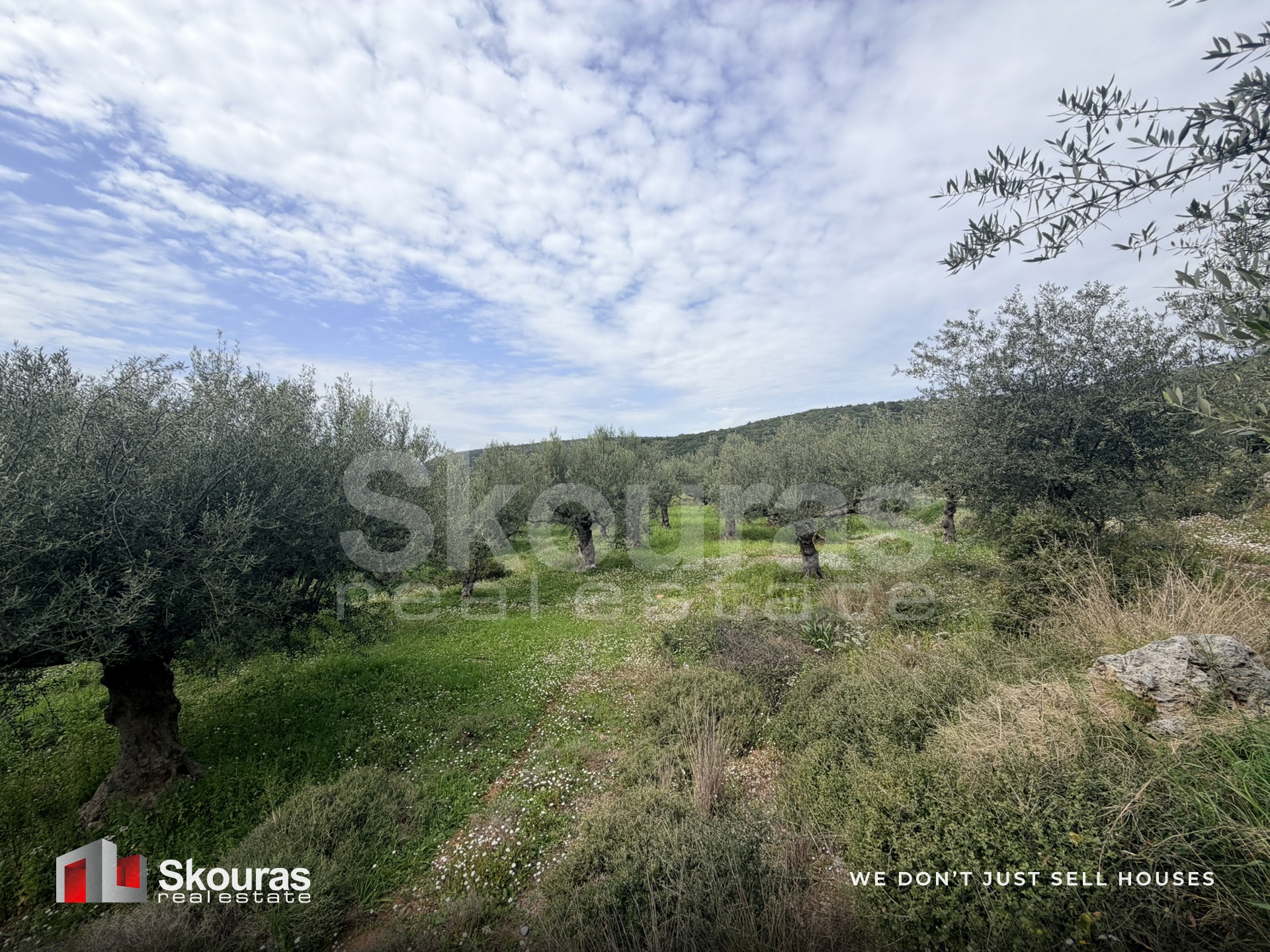 Gallery image 26