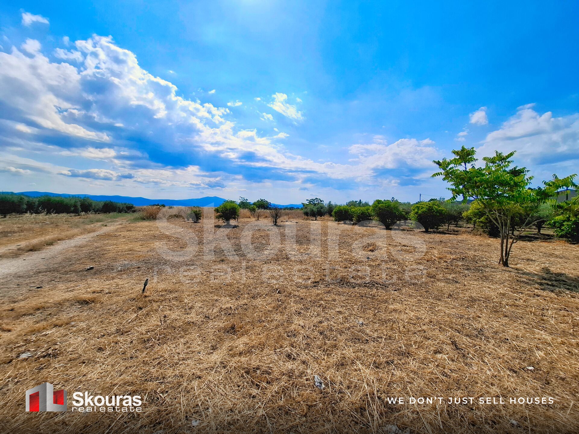 Gallery image 17