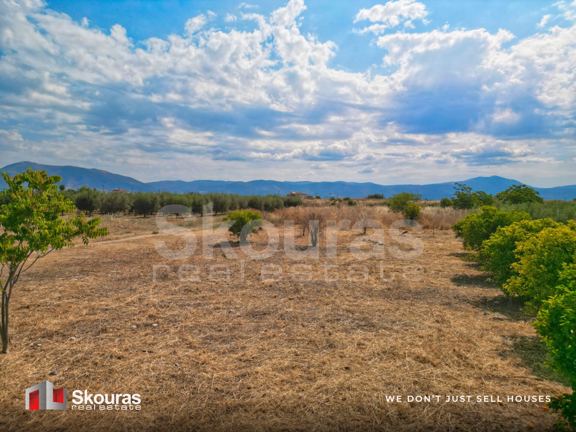 Gallery image 25