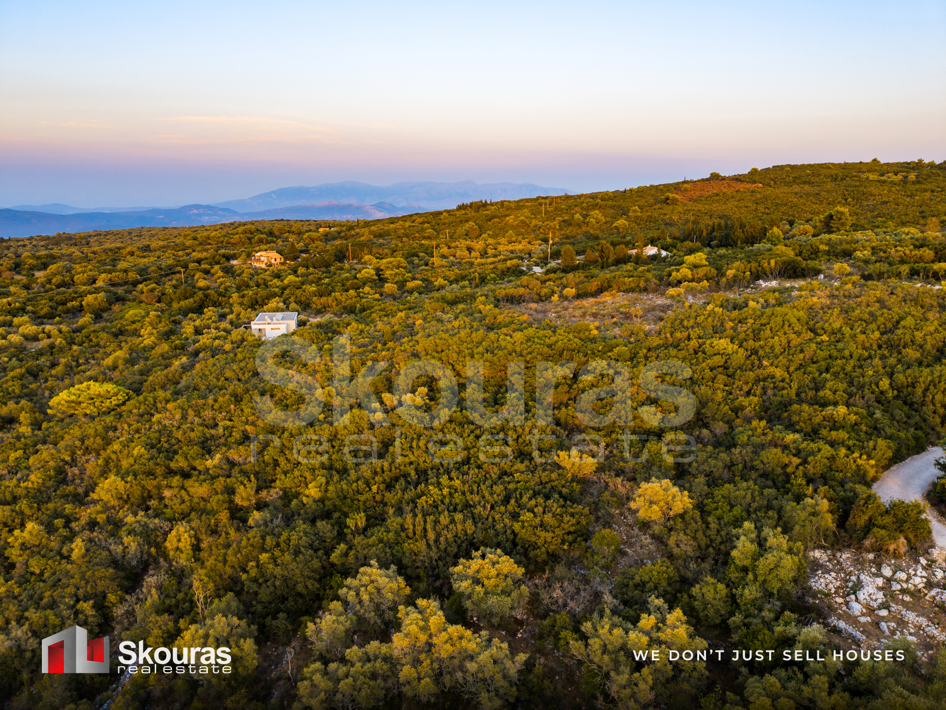 Gallery image 11