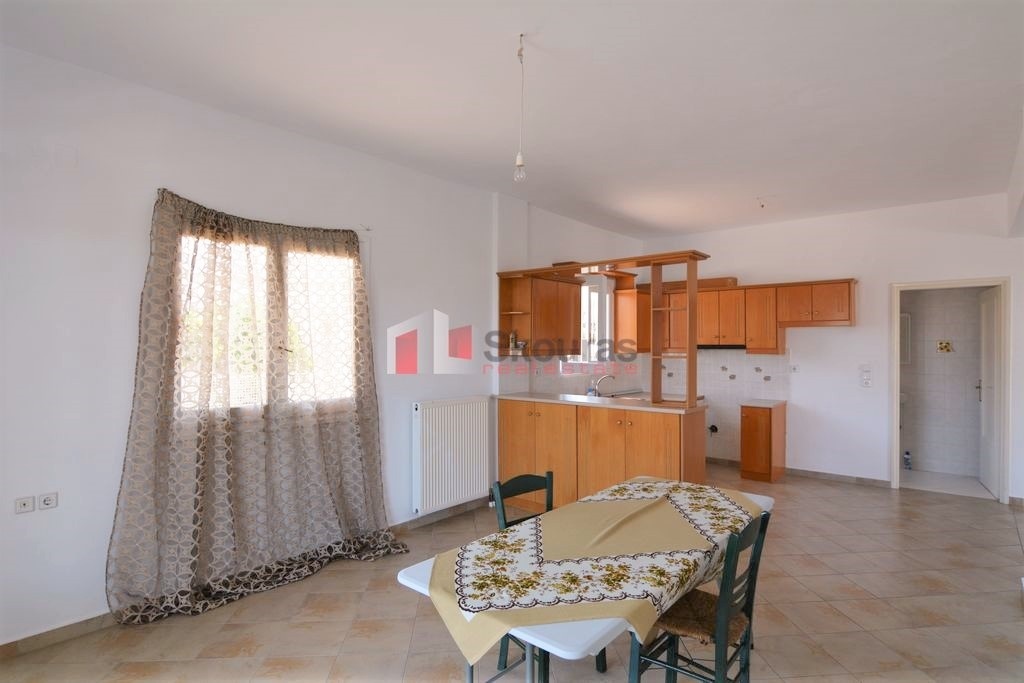 Gallery image 17