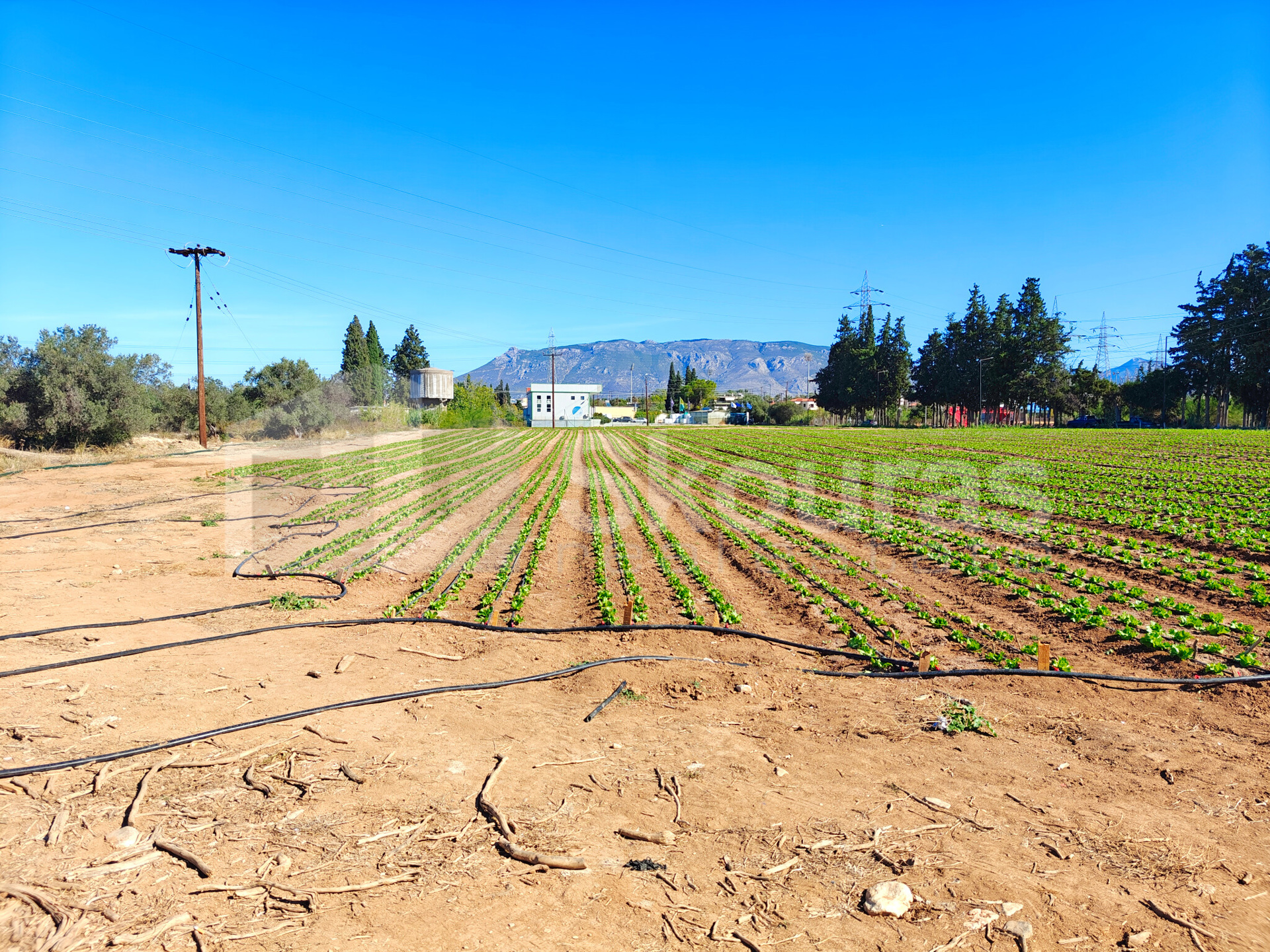 Gallery image 17