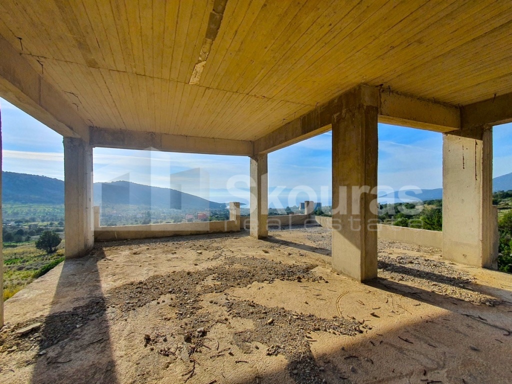Gallery image 11