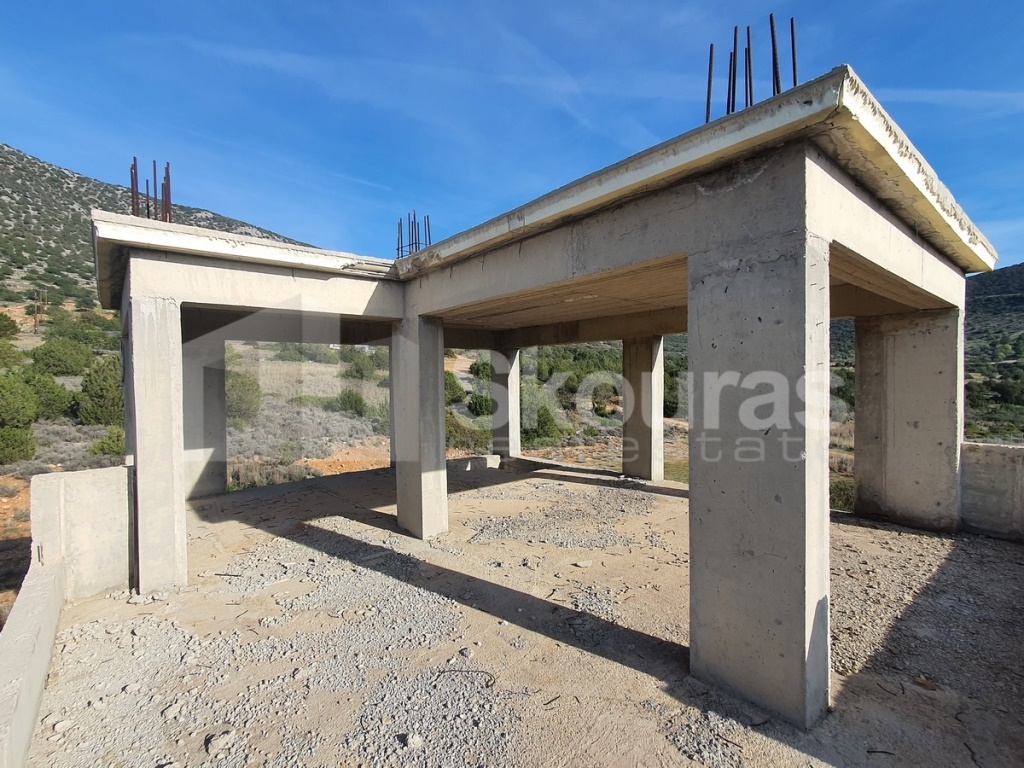 Gallery image 10