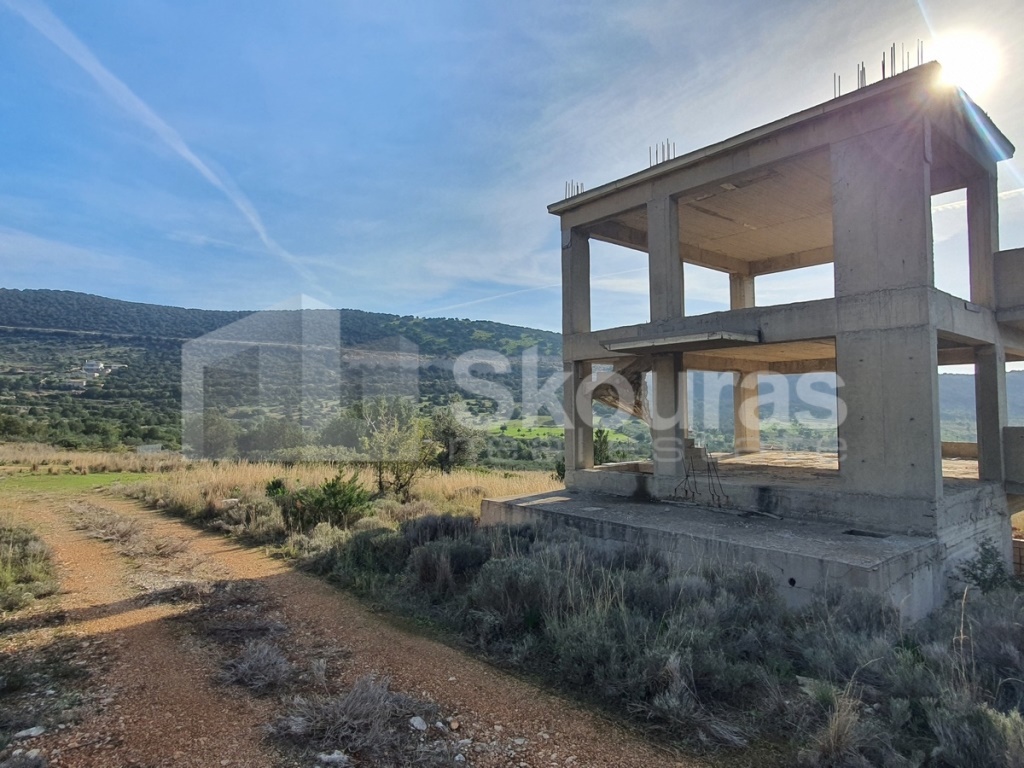 Gallery image 16