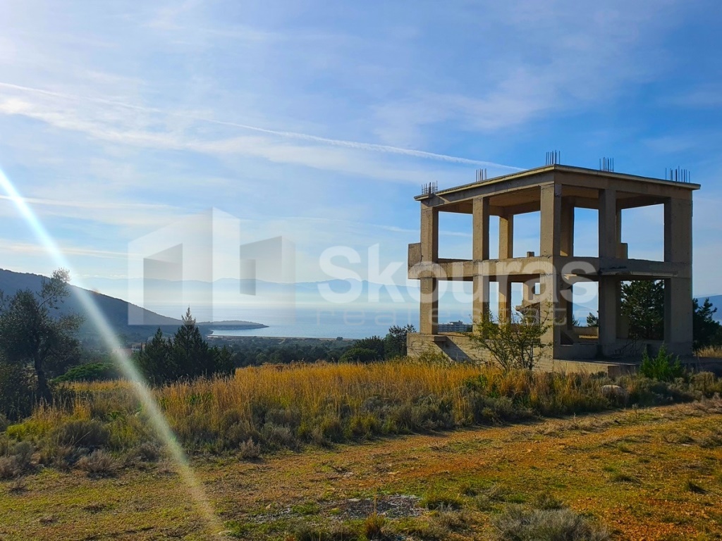 Gallery image 15