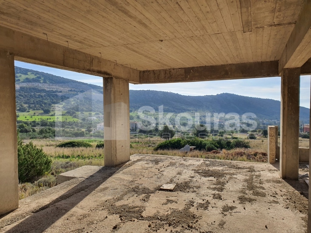 Gallery image 12