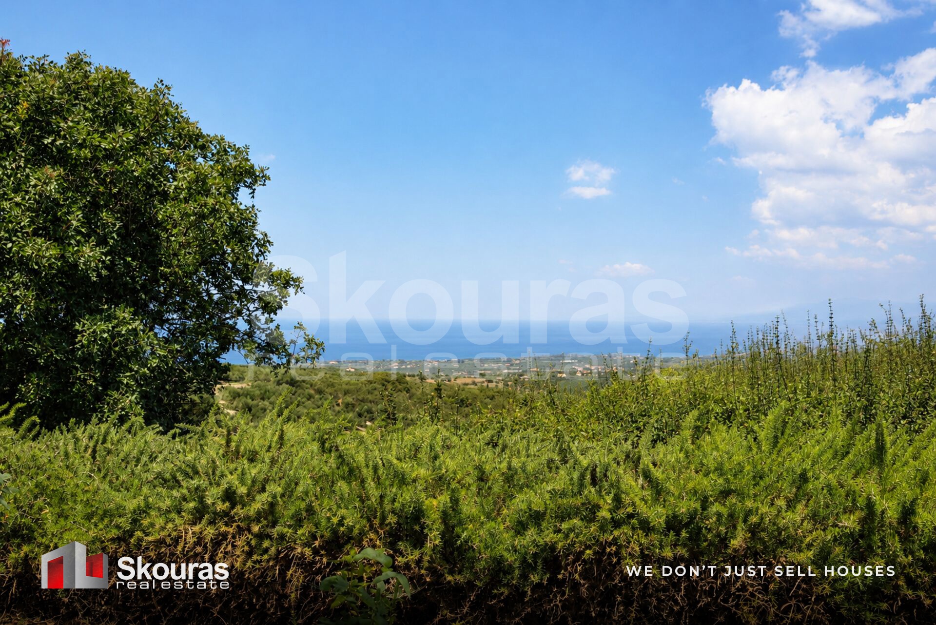 Gallery image 28