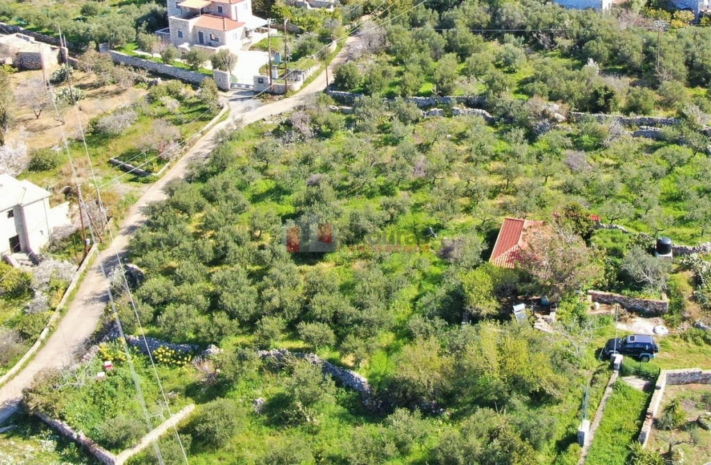 Gallery image 7
