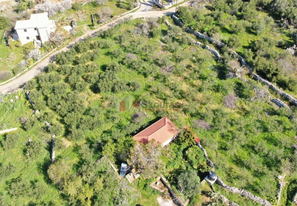 Gallery image 14