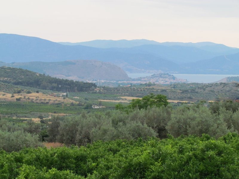 Gallery image 10