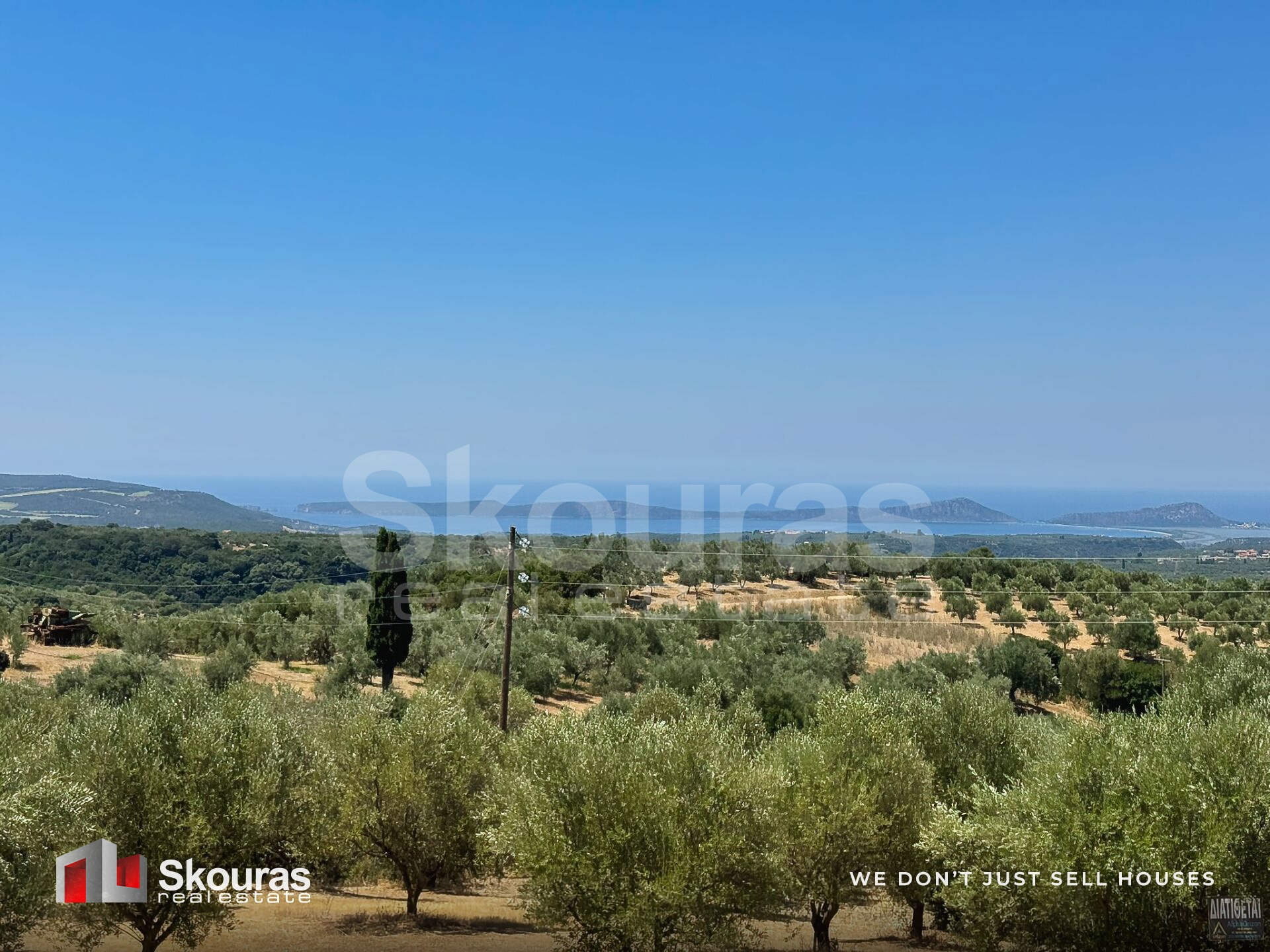 Gallery image 21