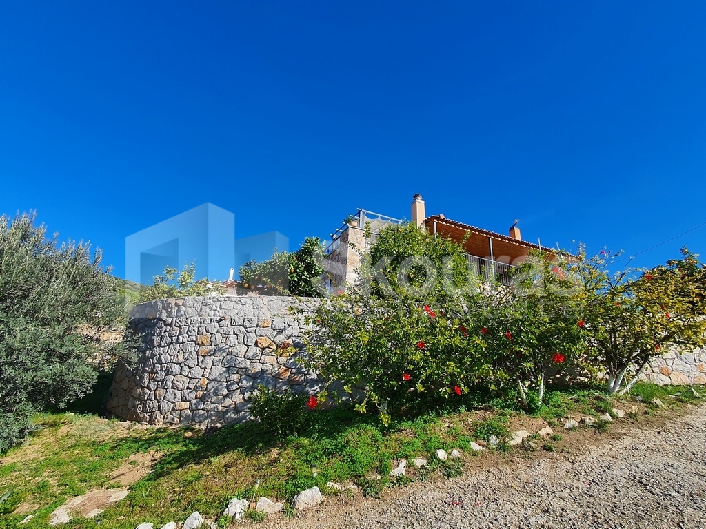 Gallery image 24