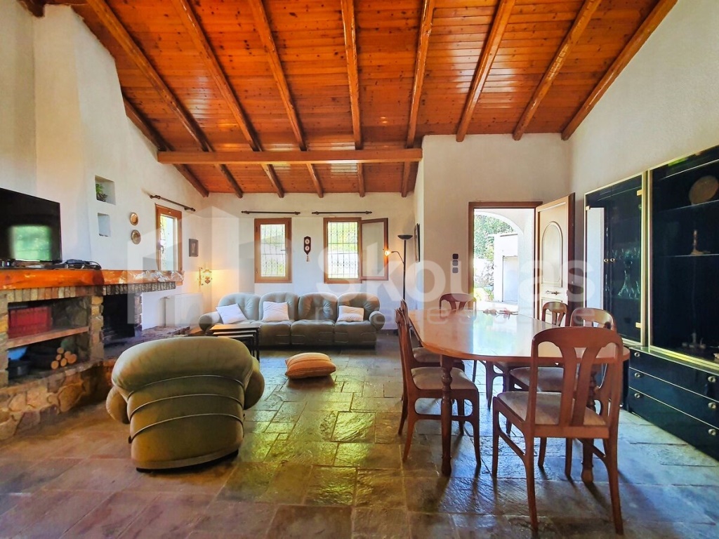 Gallery image 8