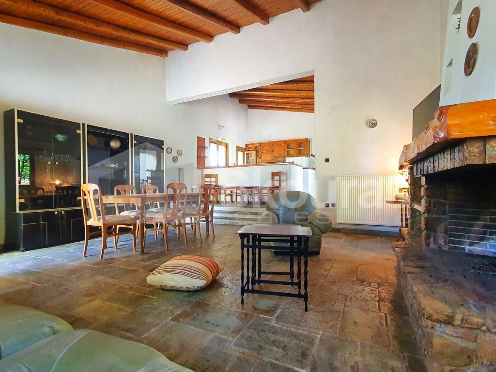 Gallery image 9